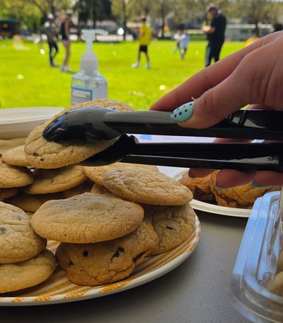 Viewlands Cookies